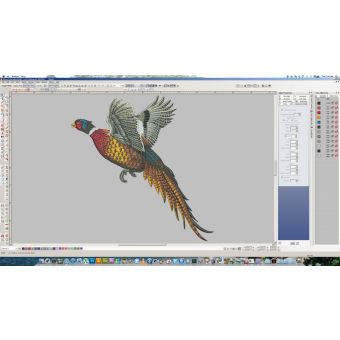 Wilcom Offline E4 Advanced Digitizing Embriodery Training Services